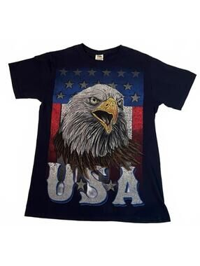 Vintage Fruit of the Loom USA Eagle Graphic T-Shirt, Men's Small
